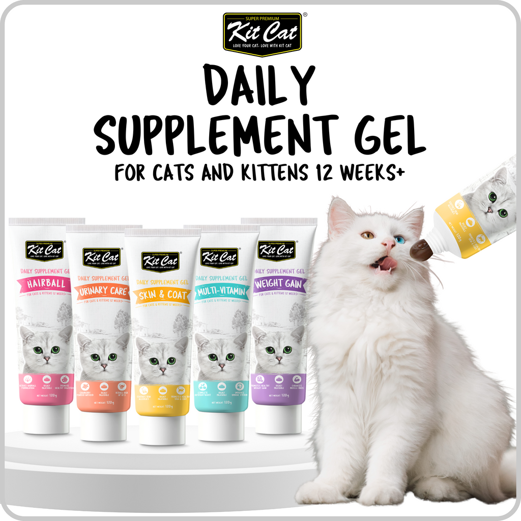 Kit Cat Daily Supplement Gel for Cats and Kittens 12 Weeks+