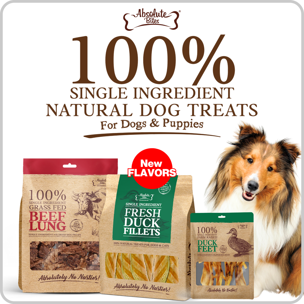 Absolute Bites Single Ingredient Dog Treats