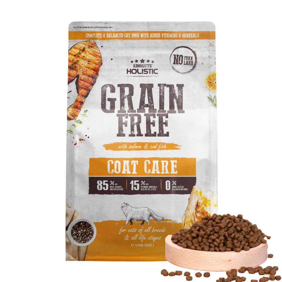 Best grain free outlet dry cat food 2019