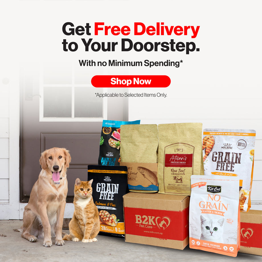 Pet food shop online free shipping