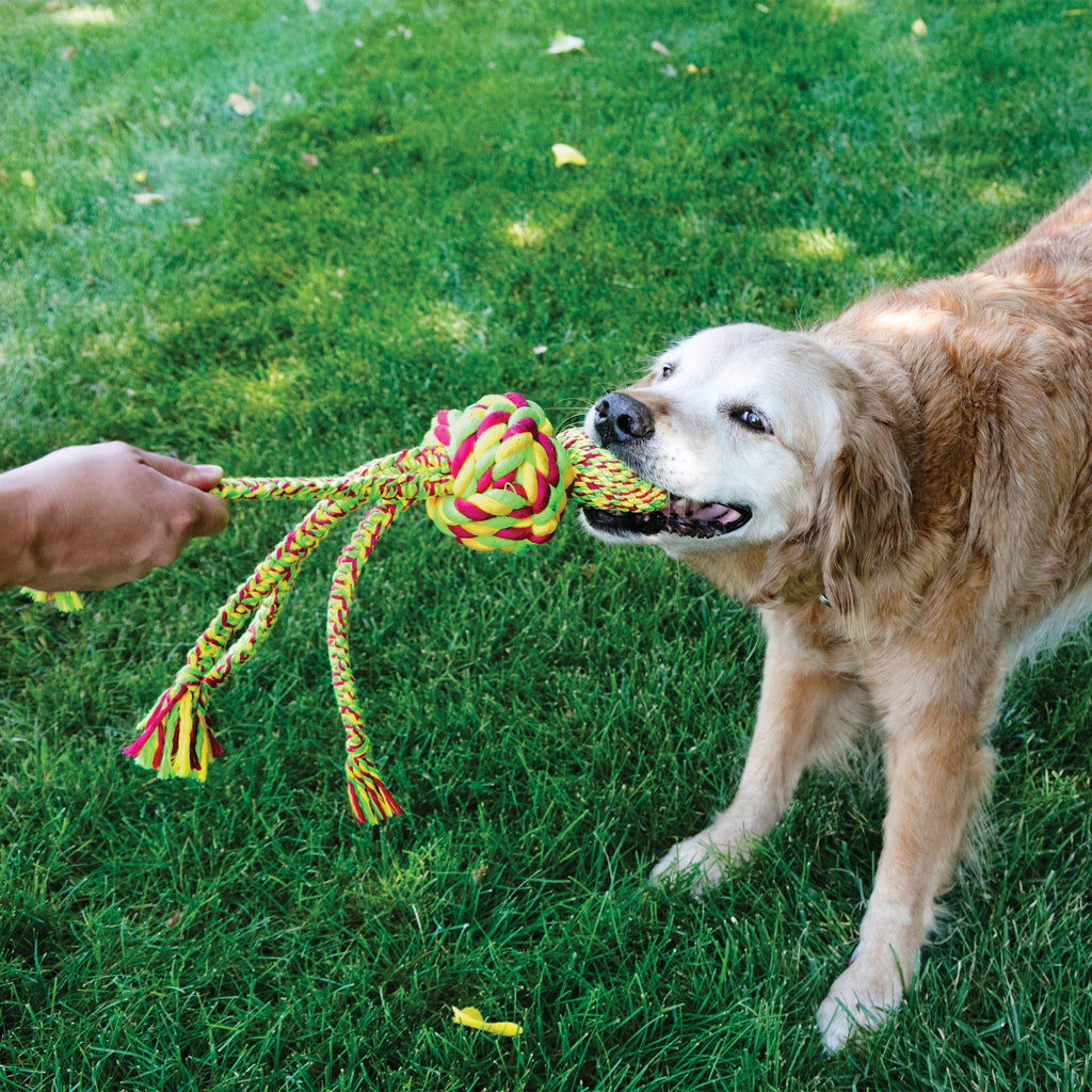 KONG Dog Toy - Wubba™ Weaves with Rope Assorted (3 Sizes)