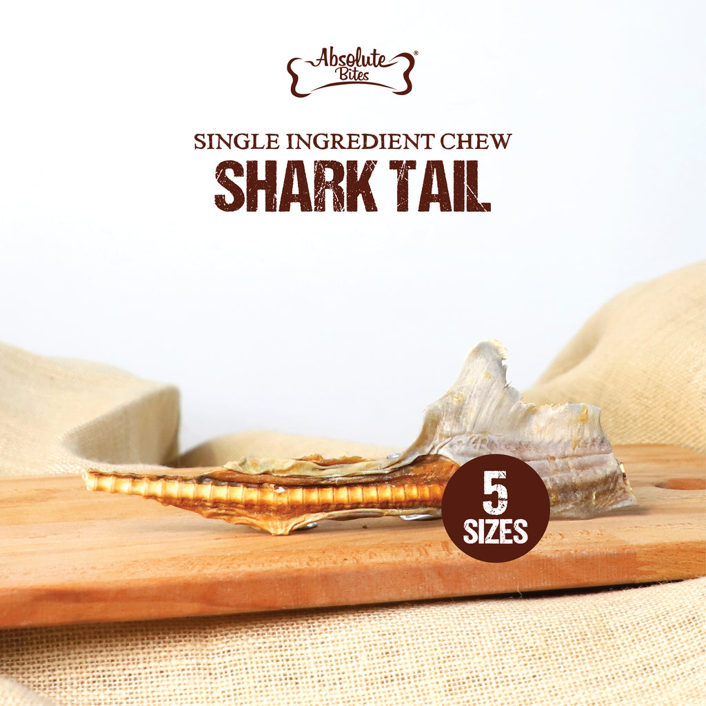 Absolute Bites Shark Tail, high-protein, natural dog chew made from premium shark cartilage, available in five sizes.