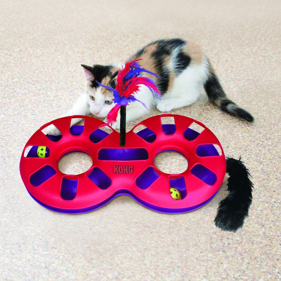 KONG Cat Active Eight Track Cat Toy B2K Pet Singapore