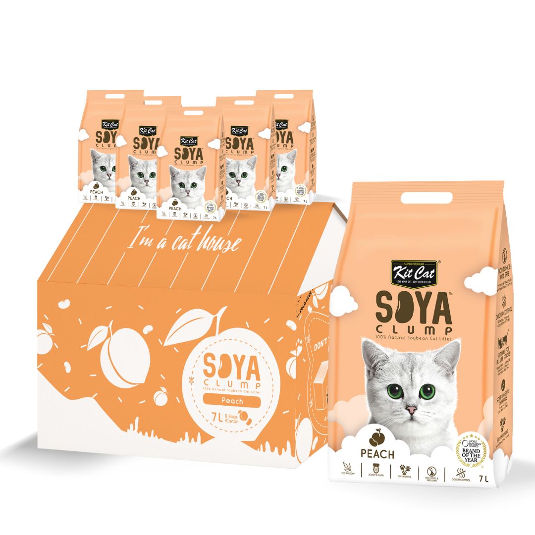 Soy cat hot sale litter