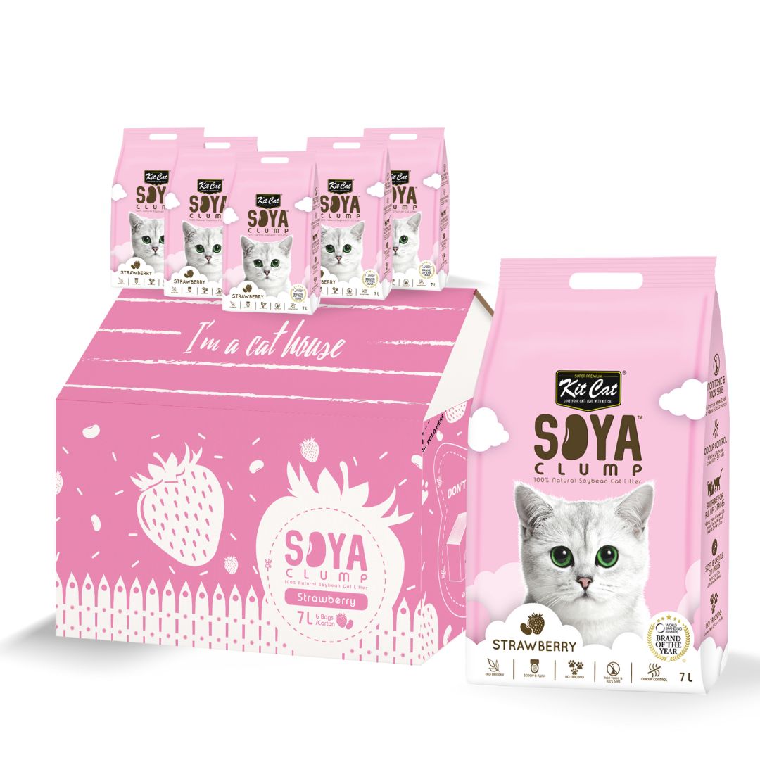 Soya best sale cat litter