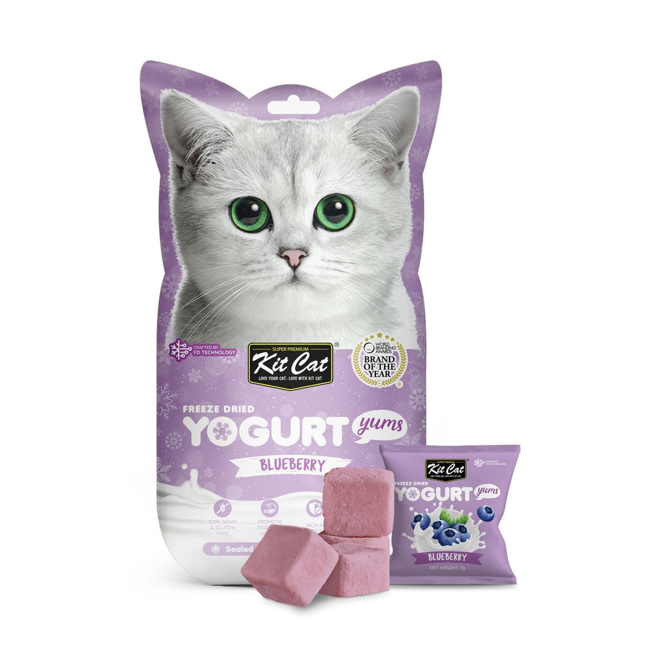 Cat 2025 yogurt treat